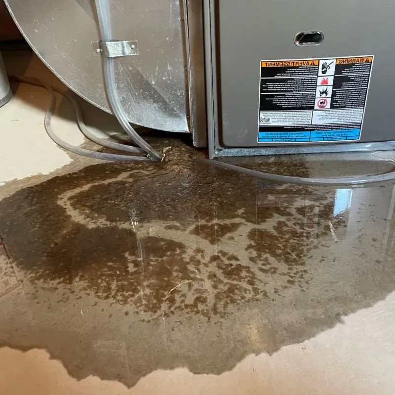 Pipe Burst and Leak Restoration in Wellsboro, PA
